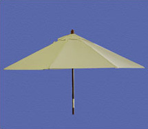 Market Umbrella
